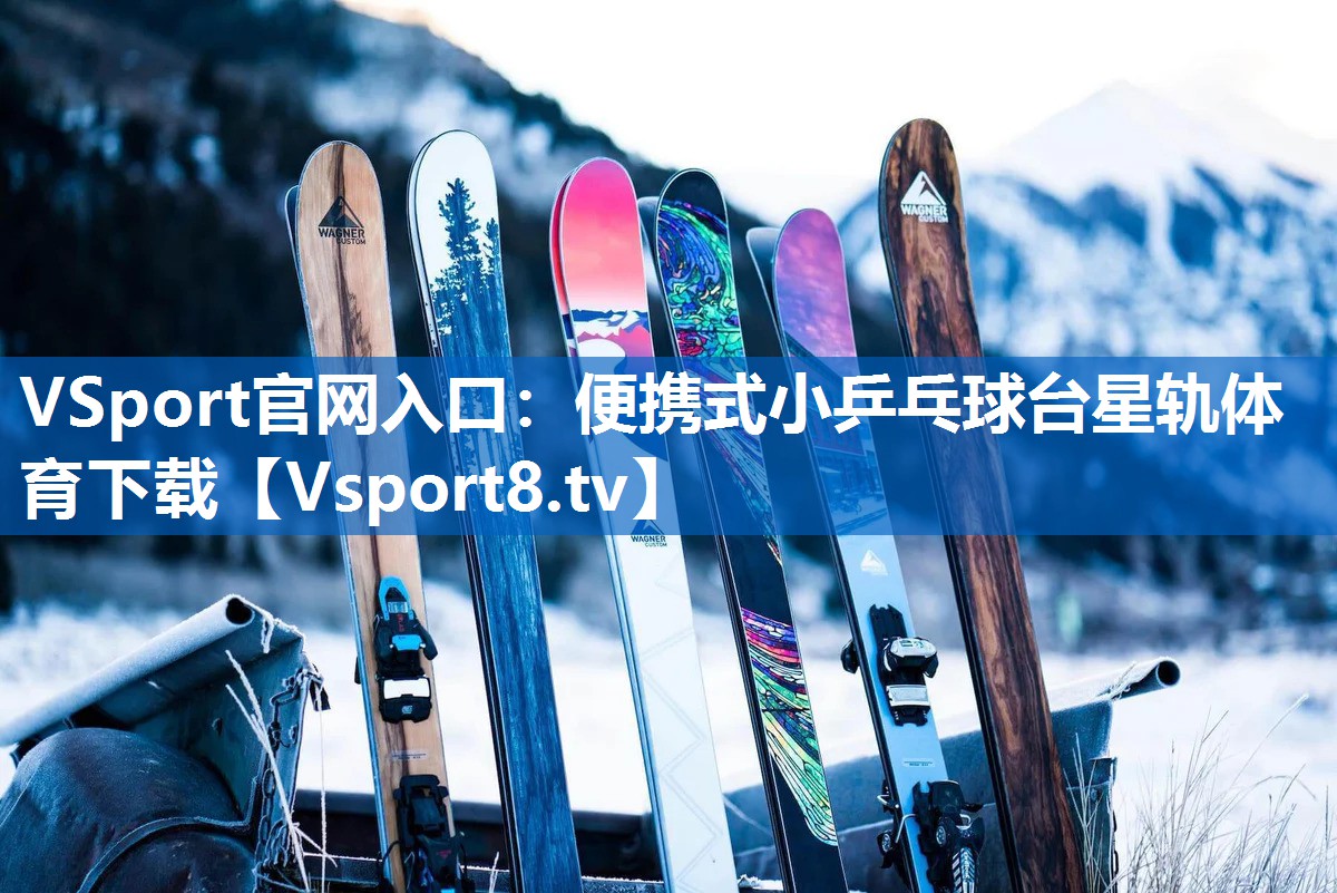 VSport官网入口：便携式小乒乓球台星轨体育下载