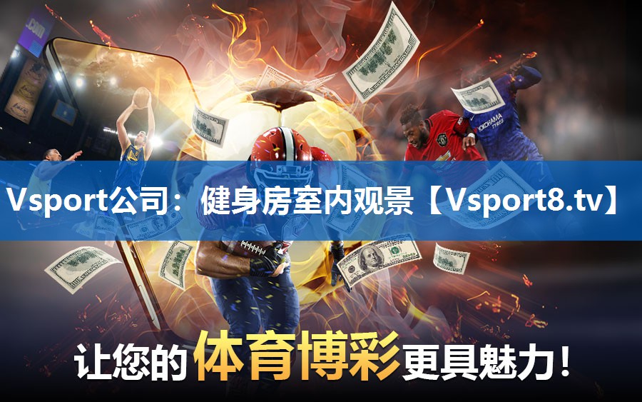 Vsport公司：健身房室内观景