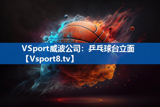 VSport威波公司：乒乓球台立面