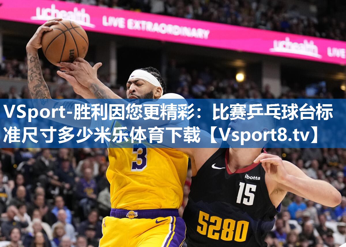 <strong>VSport-胜利因您更精彩：比赛乒乓球台标准尺寸多少米乐体育下载</strong>