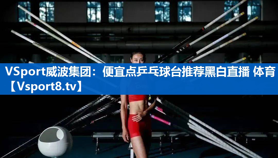 <strong>VSport威波集团：便宜点乒乓球台推荐黑白直播 体育</strong>