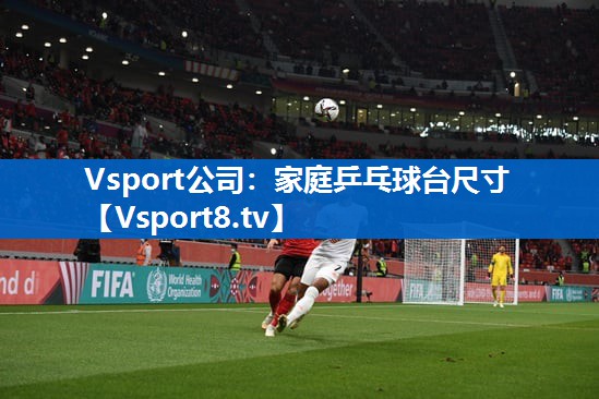 Vsport公司：家庭乒乓球台尺寸