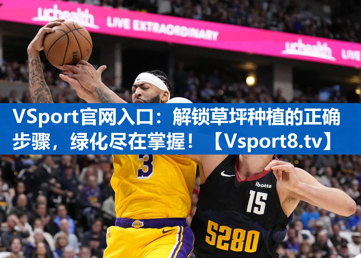 <strong>VSport官网入口：解锁草坪种植的正确步骤，绿化尽在掌握！</strong>