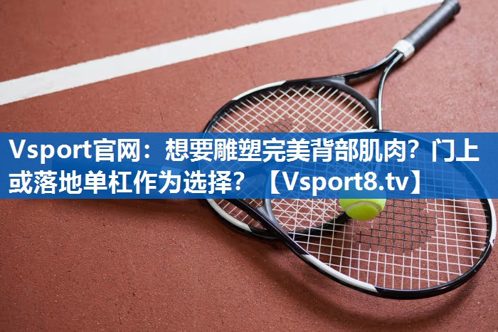 想要雕塑完美背部肌肉？门上或落地单杠作为选择？