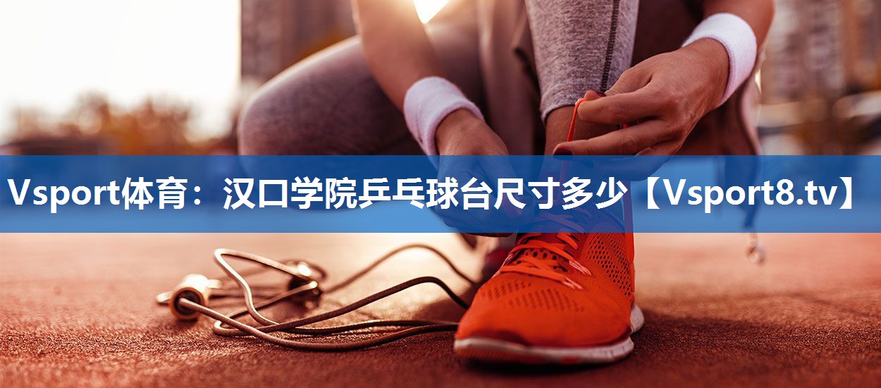汉口学院乒乓球台尺寸多少