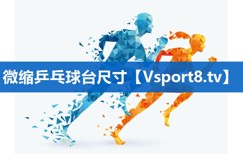 微缩乒乓球台尺寸