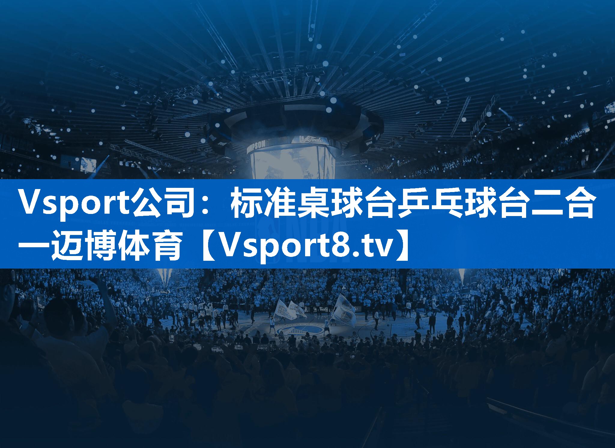 <strong>Vsport公司：标准桌球台乒乓球台二合一迈博体育</strong>