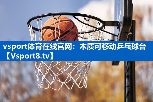 <strong>vsport体育在线官网：木质可移动乒乓球台</strong>