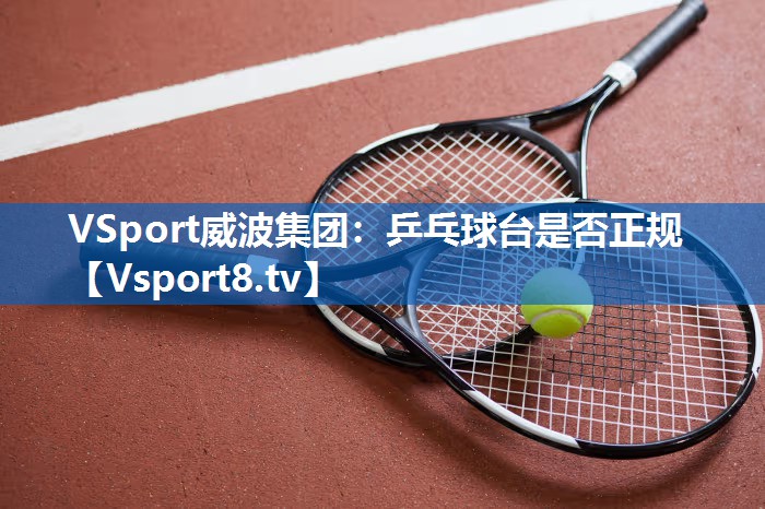 <strong>VSport威波集团：乒乓球台是否正规</strong>