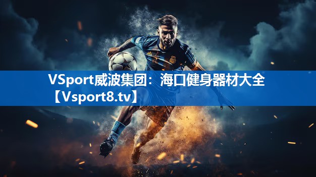VSport威波集团：海口健身器材大全