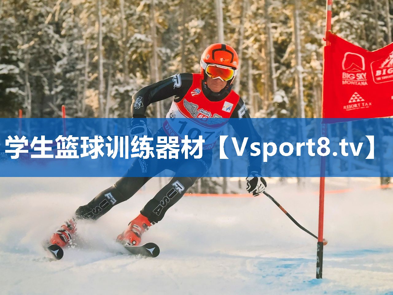 <strong>学生篮球训练器材</strong>