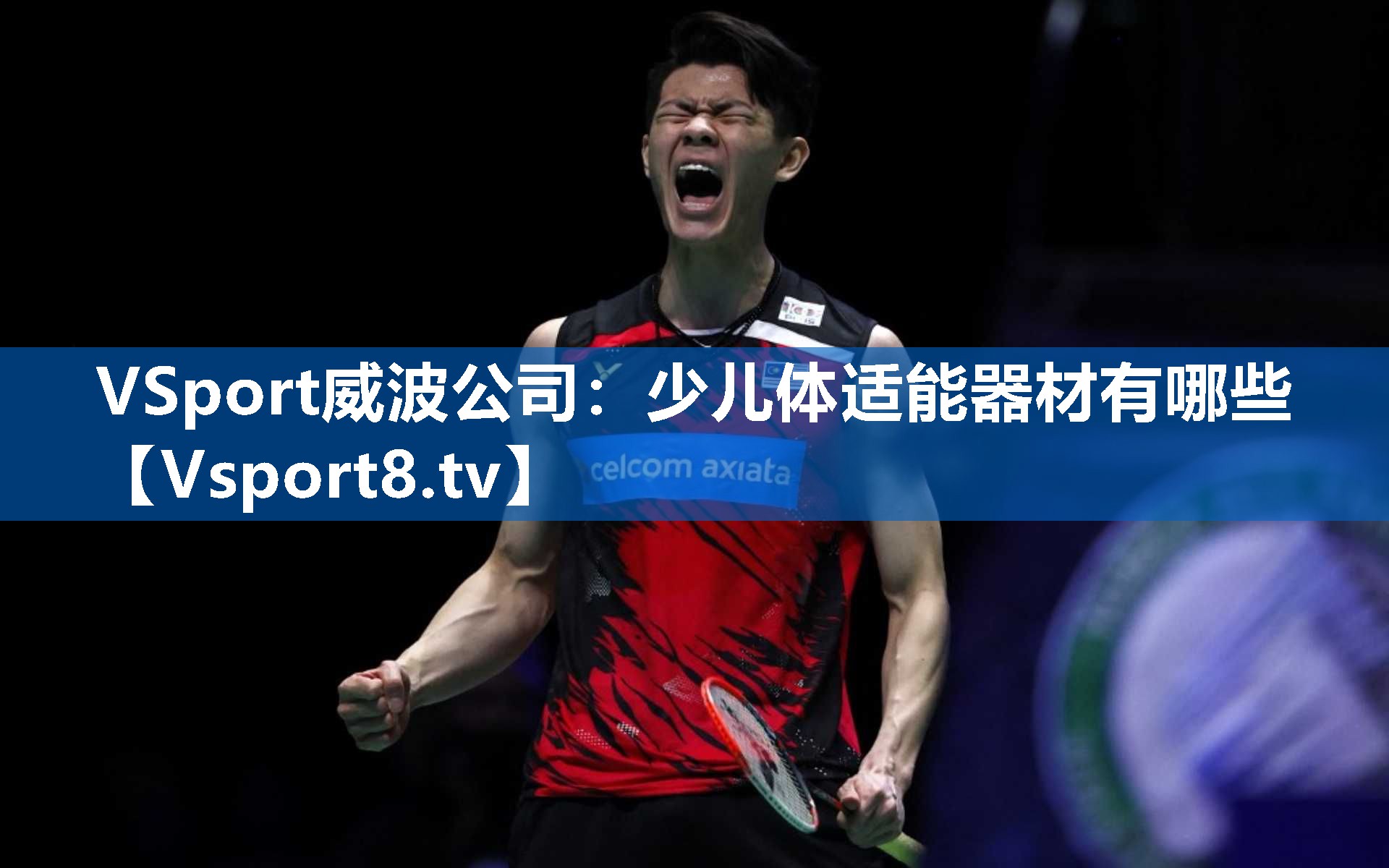 <strong>VSport威波公司：少儿体适能器材有哪些</strong>