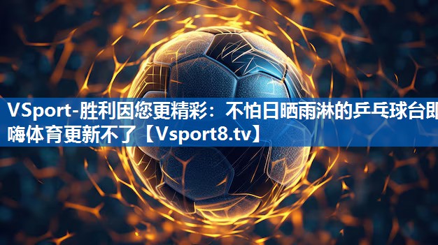 VSport-胜利因您更精彩：不怕日晒雨淋的乒乓球台即嗨体育更新不了