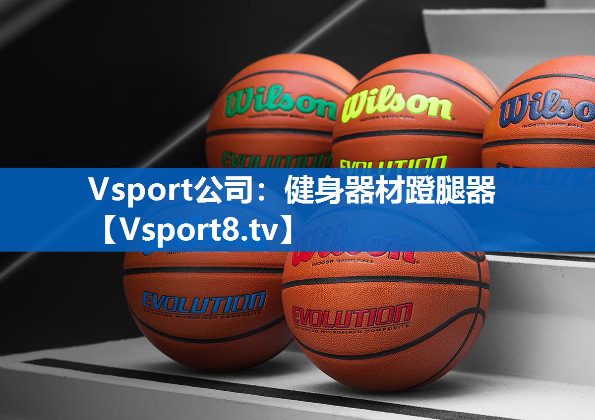 <strong>Vsport公司：健身器材蹬腿器</strong>