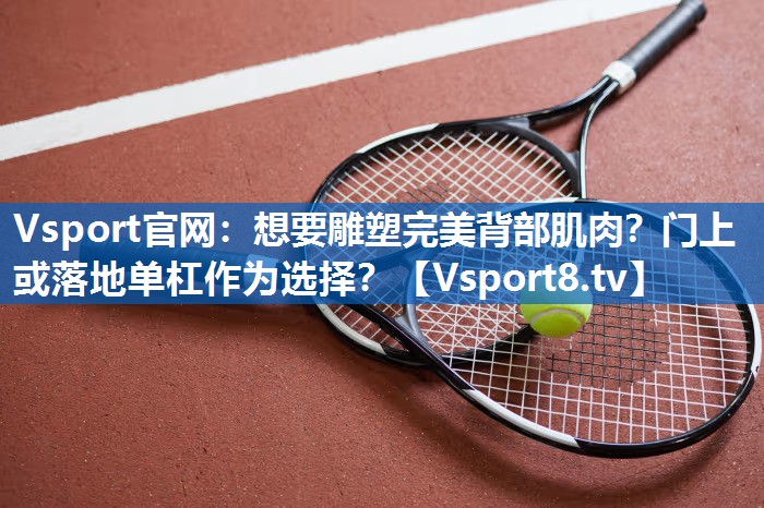 Vsport官网：想要雕塑完美背部肌肉？门上或落地单杠作为选择？