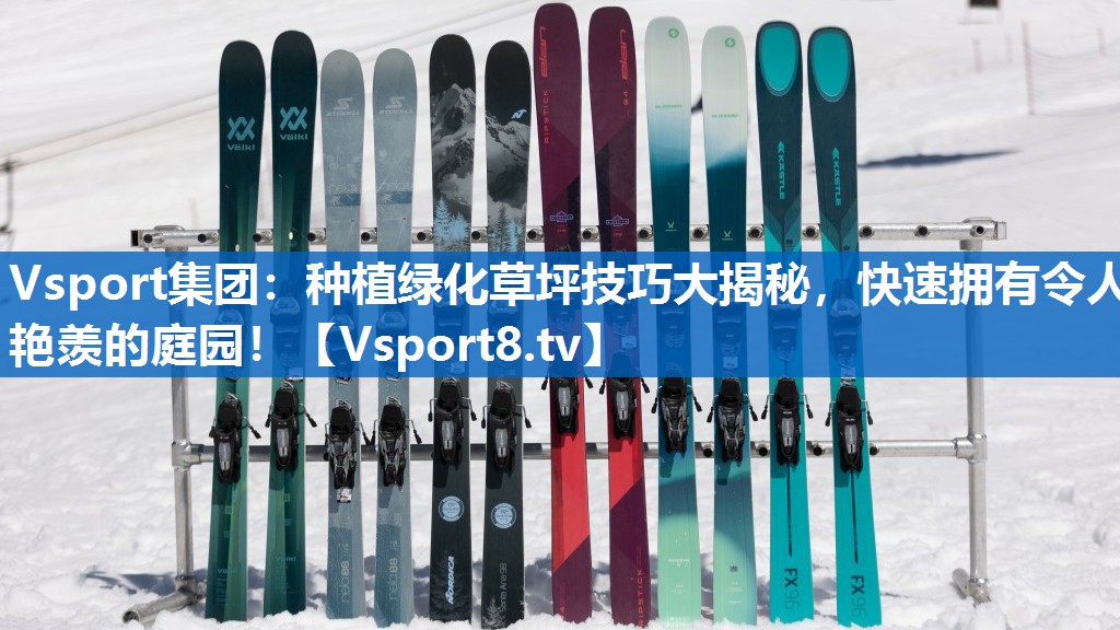 Vsport集团：种植绿化草坪技巧大揭秘，快速拥有令人艳羡的庭园！