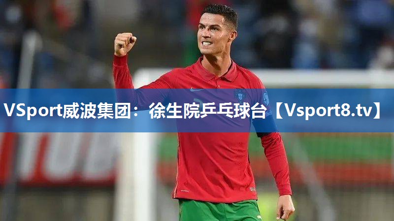 <strong>VSport威波集团：徐生院乒乓球台</strong>