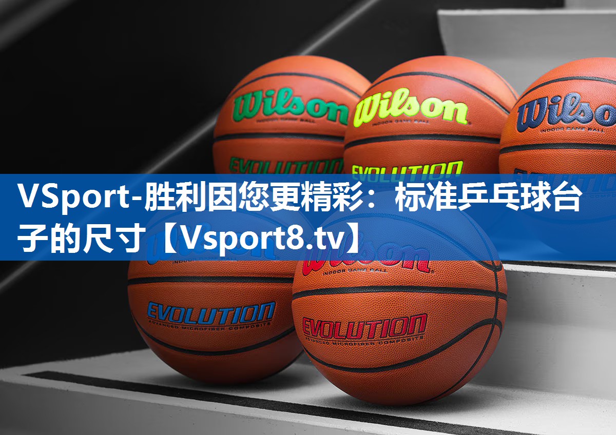 VSport-胜利因您更精彩：标准乒乓球台子的尺寸