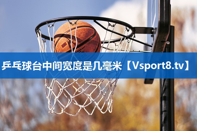 乒乓球台中间宽度是几毫米