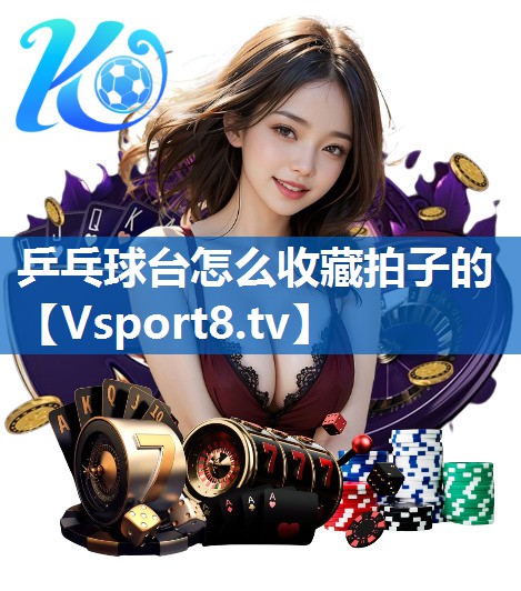乒乓球台怎么收藏拍子的