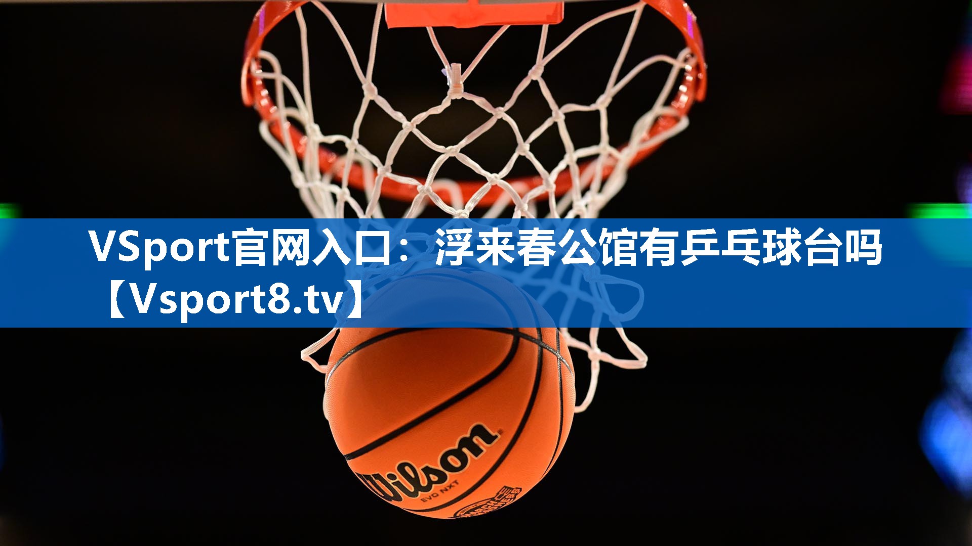 VSport官网入口：浮来春公馆有乒乓球台吗