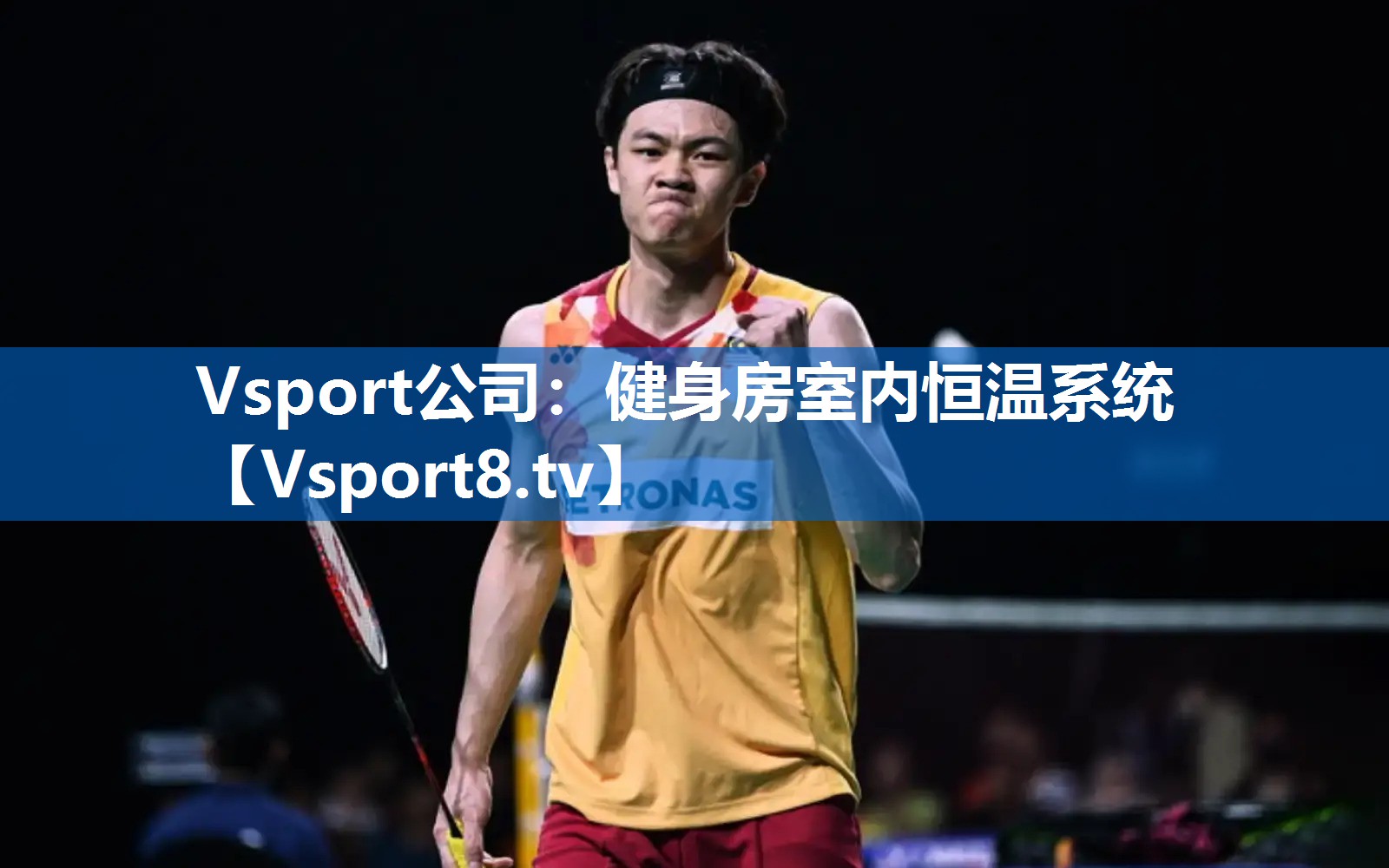 Vsport公司：健身房室内恒温系统