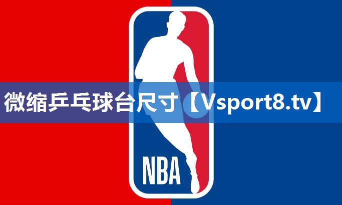 微缩乒乓球台尺寸