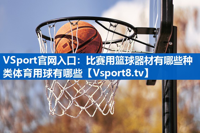 <strong>VSport官网入口：比赛用篮球器材有哪些种类体育用球有哪些</strong>