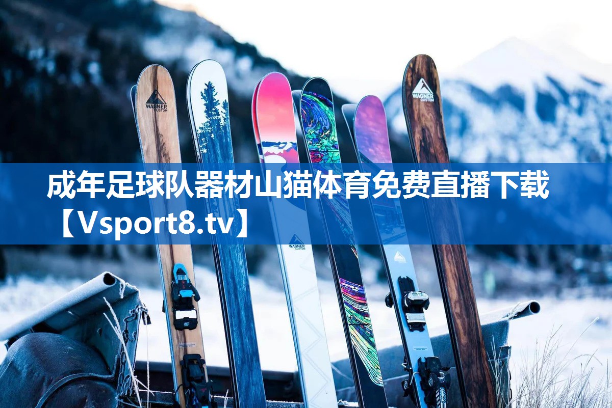 成年足球队器材山猫体育免费直播下载