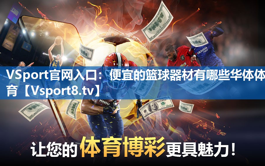 VSport官网入口：便宜的篮球器材有哪些华体体育