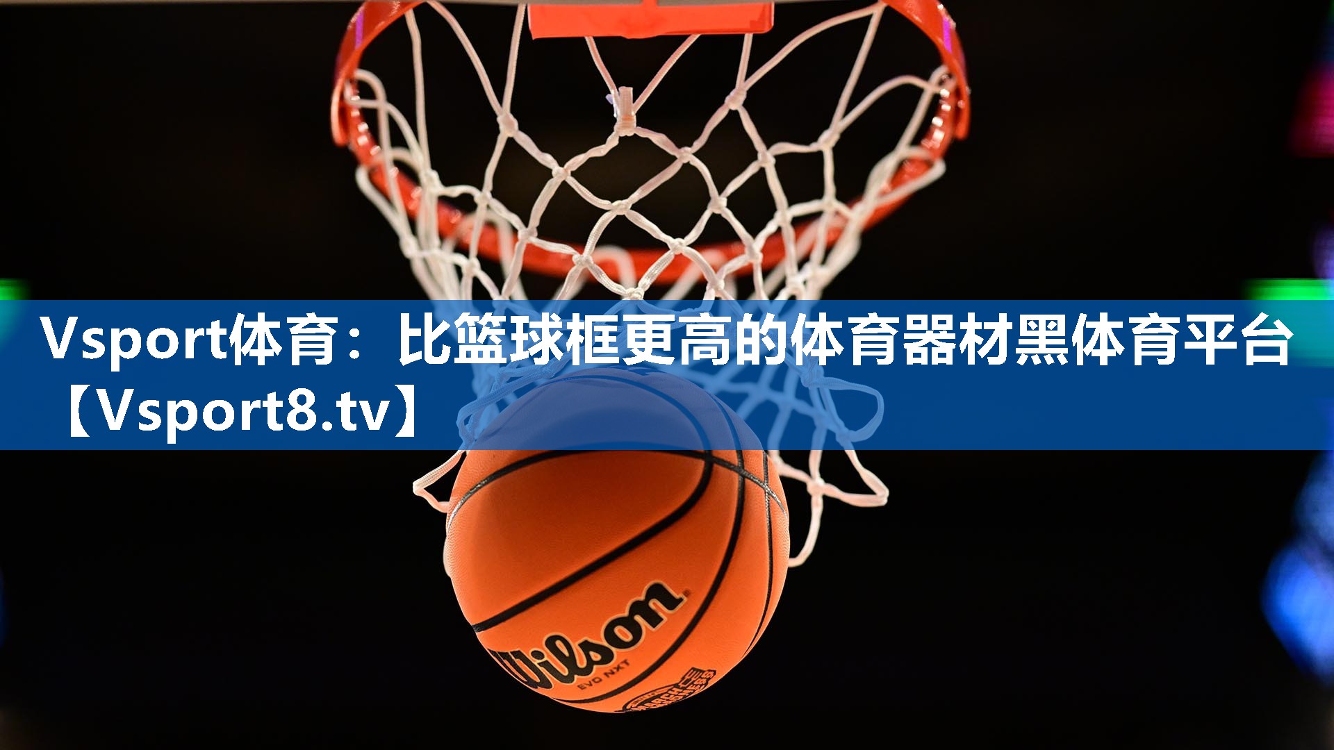 <strong>Vsport体育：比篮球框更高的体育器材黑体育平台</strong>