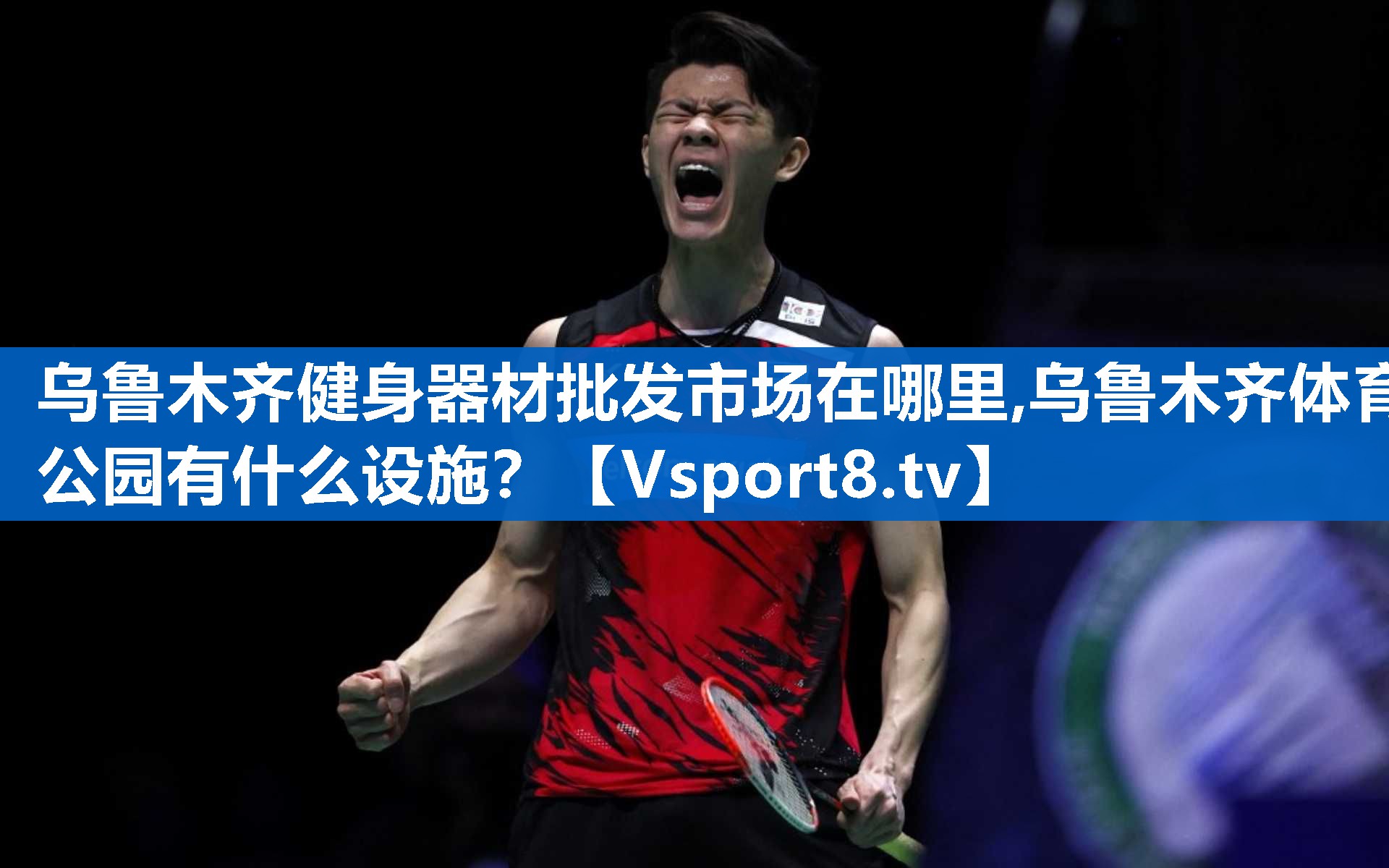 <strong>乌鲁木齐健身器材批发市场在哪里,乌鲁木齐体育公园有什么设施？</strong>