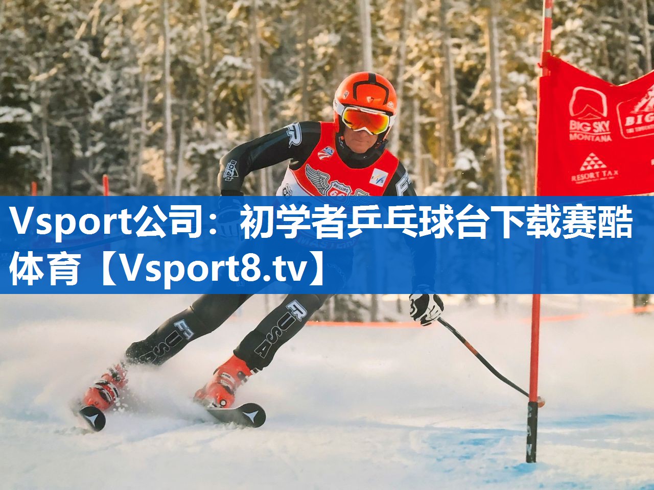 Vsport公司：初学者乒乓球台下载赛酷体育