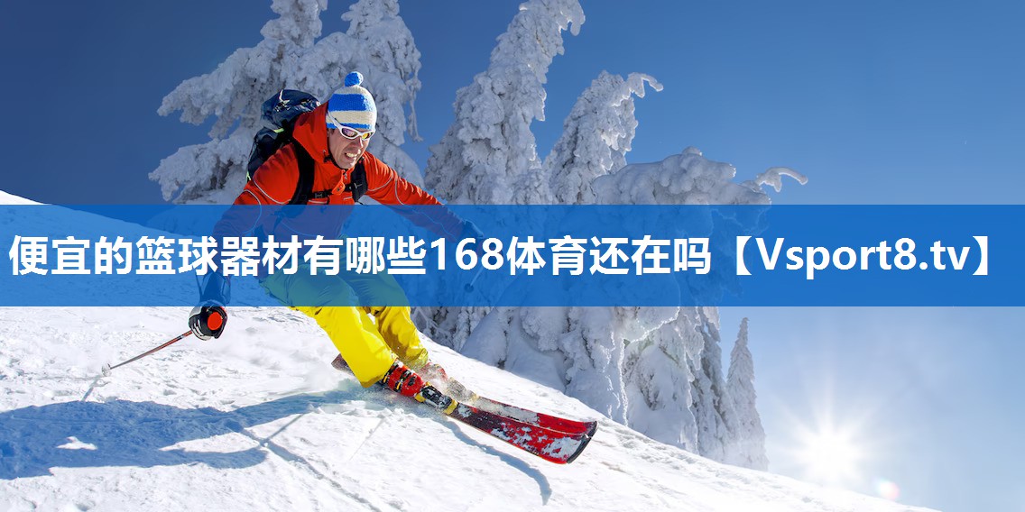 便宜的篮球器材有哪些168体育还在吗