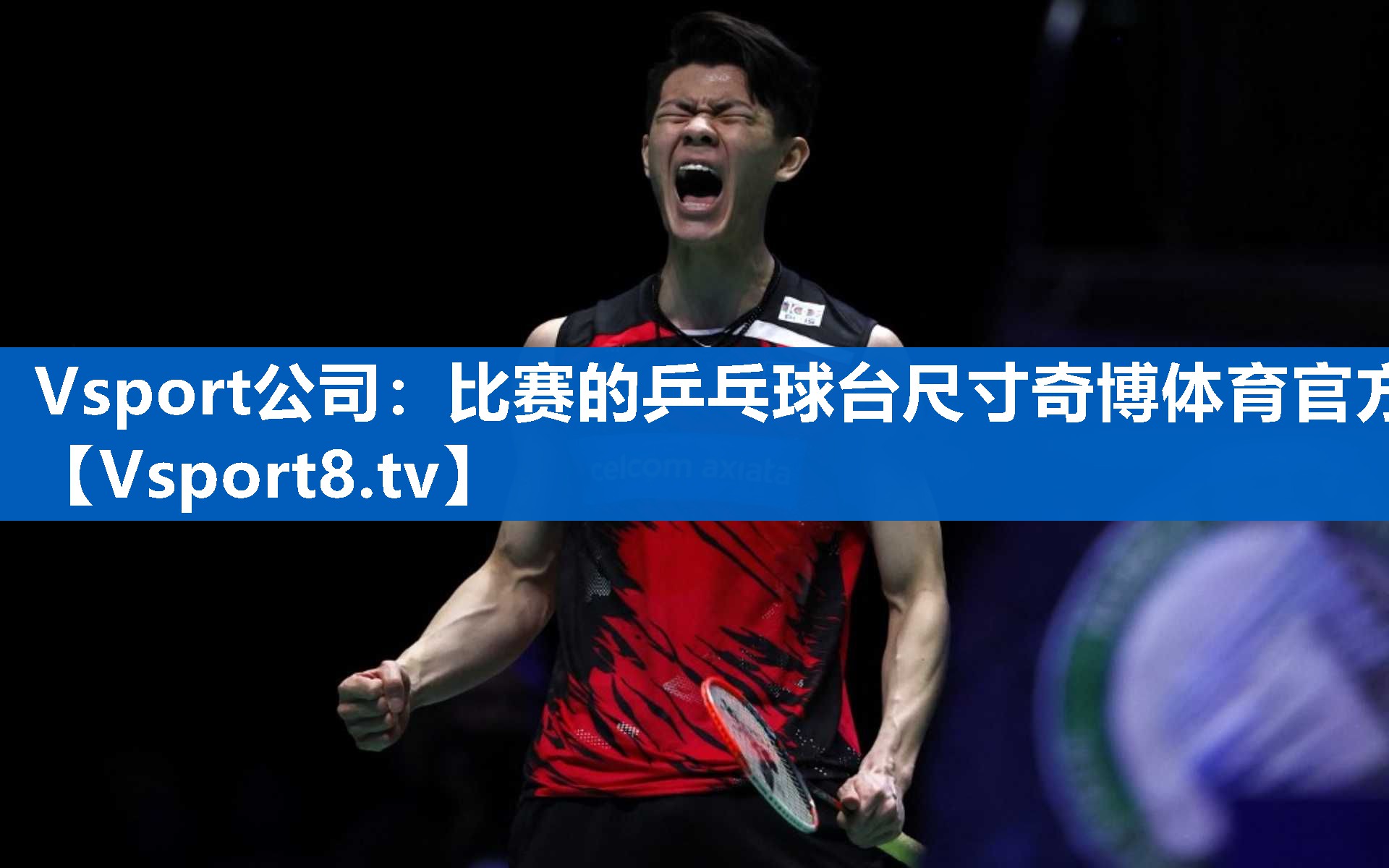 <strong>Vsport公司：比赛的乒乓球台尺寸奇博体育官方</strong>