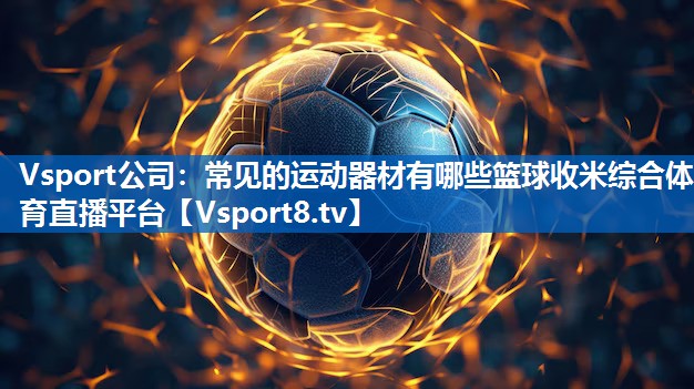 <strong>Vsport公司：常见的运动器材有哪些篮球收米综合体育直播平台</strong>
