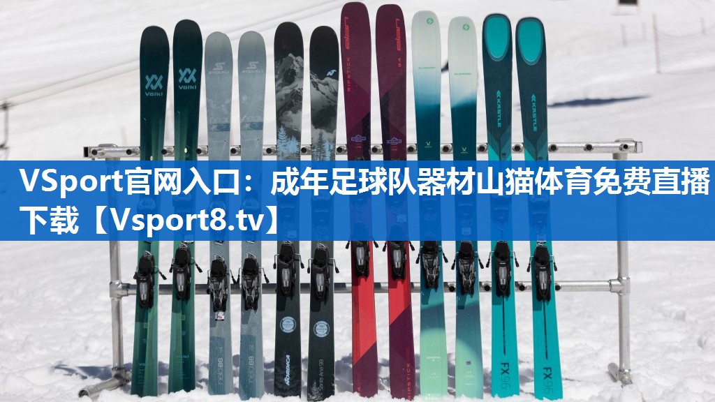 VSport官网入口：成年足球队器材山猫体育免费直播下载