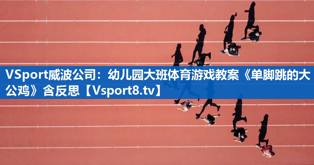 VSport威波公司：幼儿园大班体育游戏教案《单脚跳的大公鸡》含反思