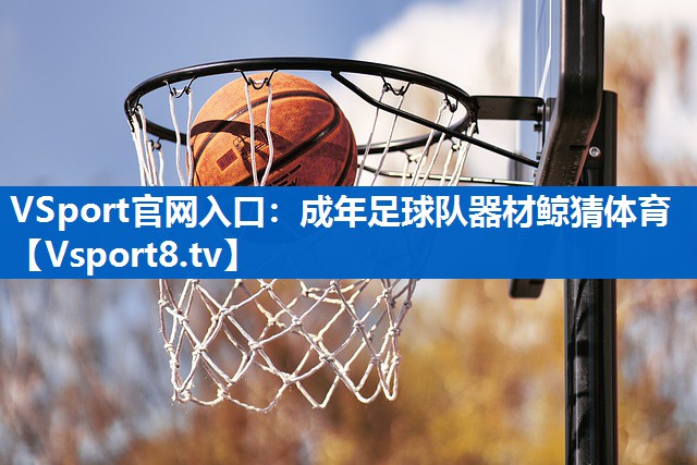 <strong>VSport官网入口：成年足球队器材鲸猜体育</strong>