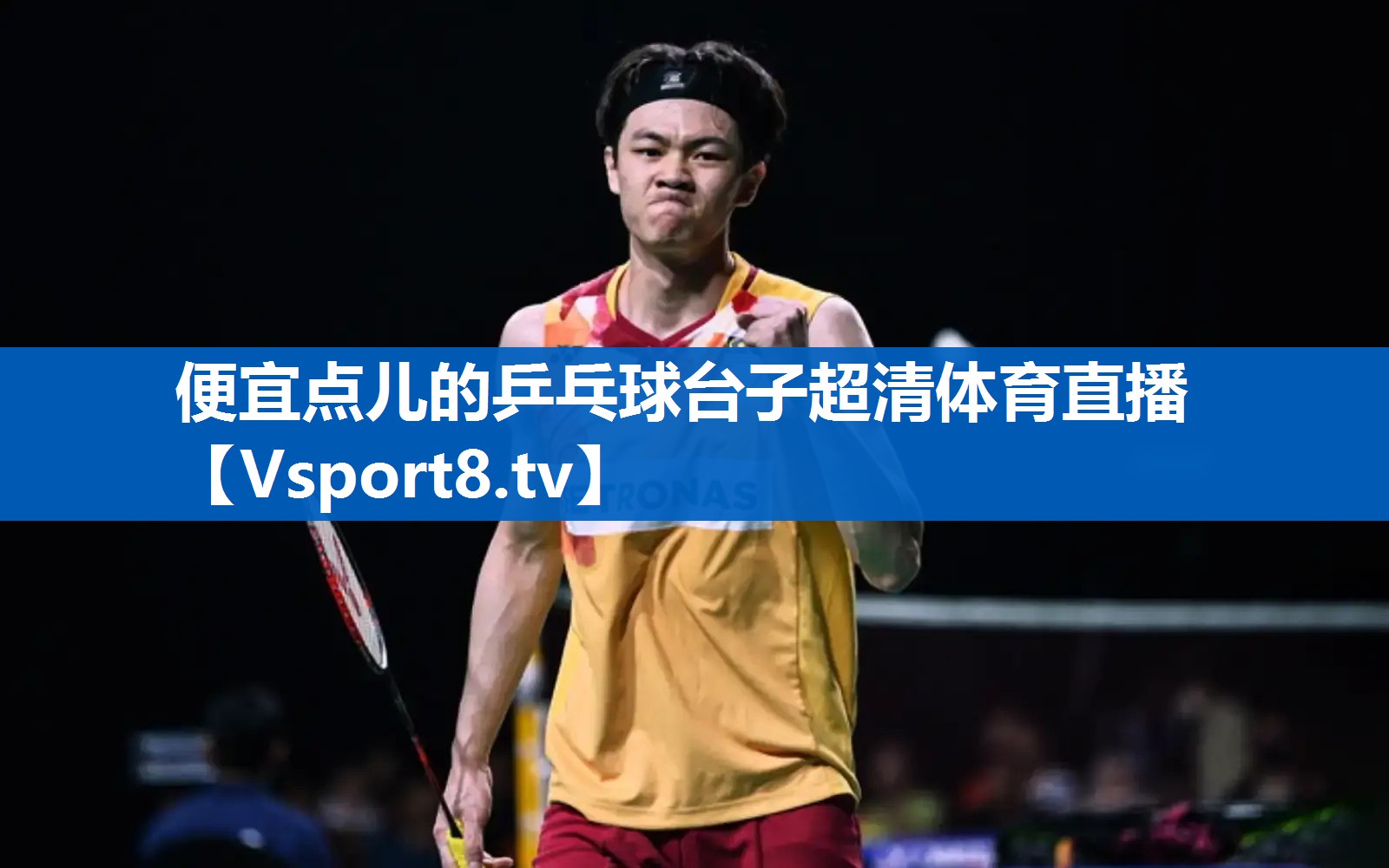 便宜点儿的乒乓球台子超清体育直播