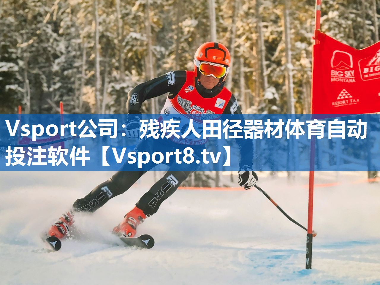 <strong>Vsport公司：残疾人田径器材体育自动投注软件</strong>