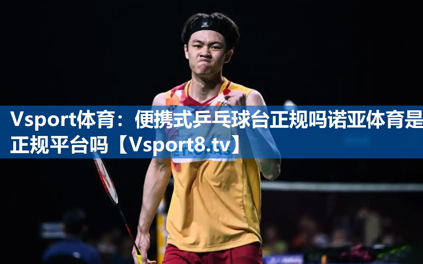 Vsport体育：便携式乒乓球台正规吗诺亚体育是正规平台吗