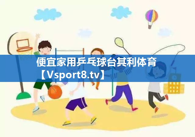 便宜家用乒乓球台其利体育