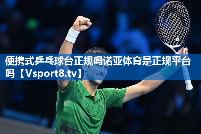 便携式乒乓球台正规吗诺亚体育是正规平台吗