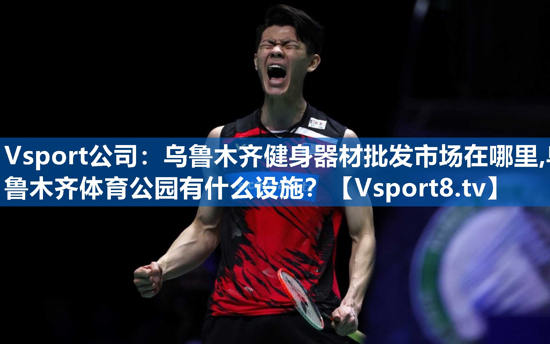 Vsport公司：乌鲁木齐健身器材批发市场在哪里,乌鲁木齐体育公园有什么设施？