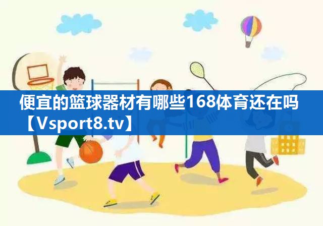 便宜的篮球器材有哪些168体育还在吗